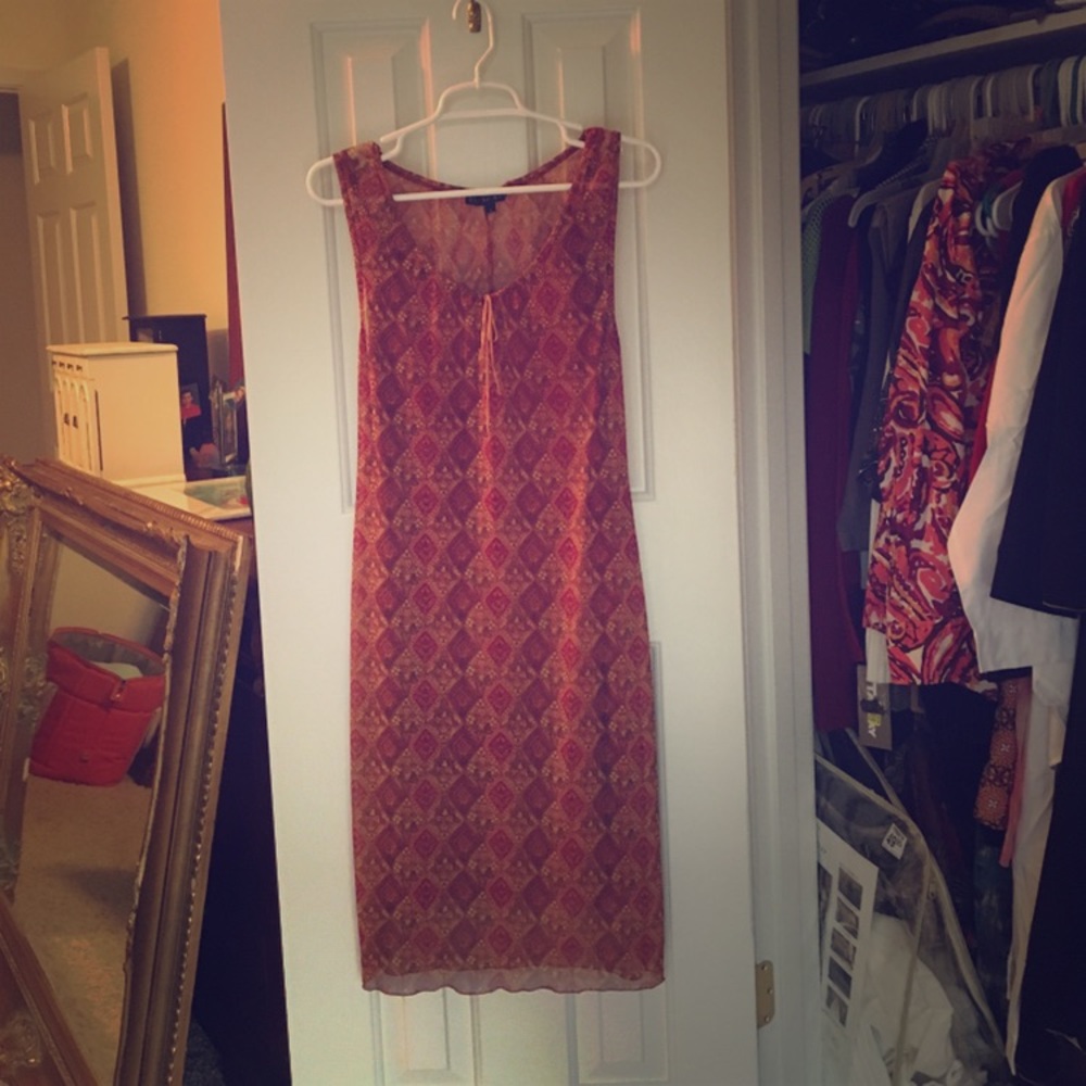 Sheer Sheath with Separate Lining